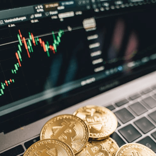 Velonex Arya illustration de l'analyse des performances