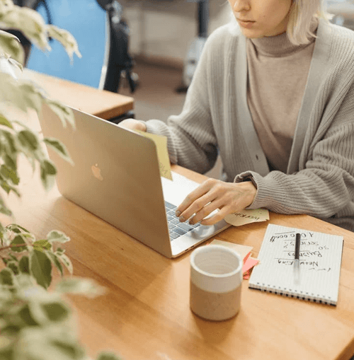 Velonex Arya illustration de l'équipe de soutien